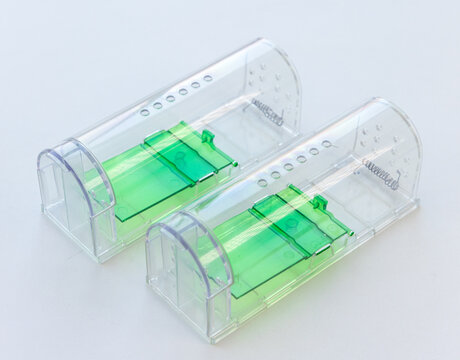 Two transparent live traps with green components for pest control