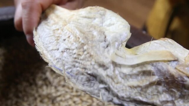 Korea barley dried yellow croaker bori gulbi earthenware crock pot seafood ingredient 생선 전통 보리굴비 굴비 항아리 옹기 보리 쌀 보관 숙성 건어물 수산물 한식 식재료