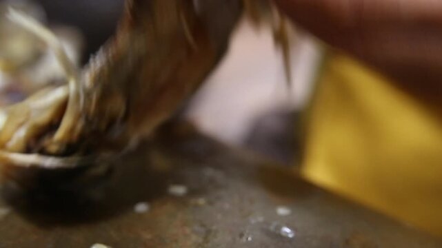 Korea barley dried yellow croaker bori gulbi earthenware crock pot seafood ingredient 생선 전통 보리굴비 굴비 항아리 옹기 보리 쌀 보관 숙성 건어물 수산물 한식 식재료