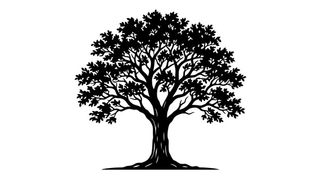Cad tree line Tree silhouette set, black oak illustration, vector foliage outline, nature graphic design, isolated symbol icon, forestry graphic element vactor