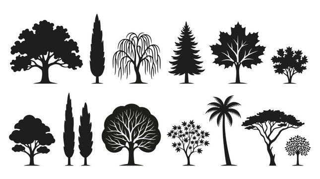 Cad tree line detailed black tree silhouette collection featuring diverse botanical shapes, styles, and forms for graphic design, nature illustration, and outdoor project layouts vactor