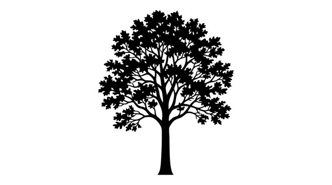 Cad tree line Silhouette of Oak Tree branch set. Black leafy tree plant vector illustration for design. vactor