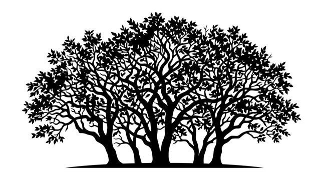 Cad tree line Black tree silhouette vector set. Forest border and nature frame clip art. Oak wood shadow graphic for logo and landscape design vactor