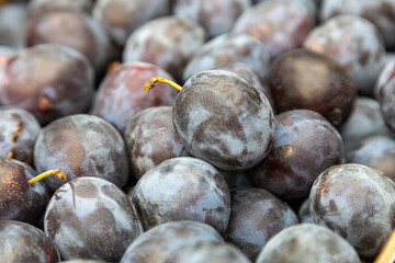 Close-up view of ripe, dark purple plums piled high for sale at a market © Shanon