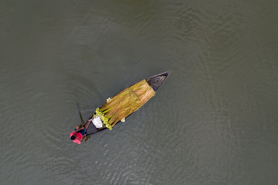 Munshiganj, Dhaka Division, Bangladesh - 10 August 2026: Aerial view of a farmer rowing a small wooden boat laden with a fresh harvest of waterlilies across the calm river waters.