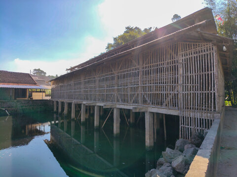 A bamboo poultry farm building standing on a pond.