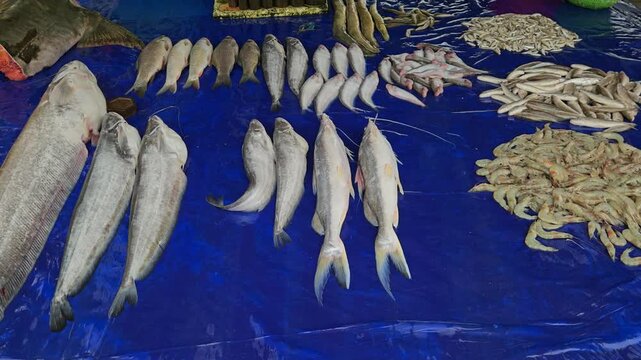 Fresh Fish and Seafood Display at Local Market Near Kosi Barrage, Koshi River, Indo-Nepal Border, Traditional Fish Trade, Rural Livelihood, Fishing Industry and Local Food Culture in South Asia