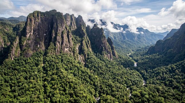 Aerial view of lush tropical mountains and rainforest valley