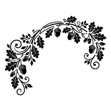 Harvest, Vintage oak leaf branch with acorns, black silhouette floral arch vector, decorative autumn forest foliage border isolated on White Background