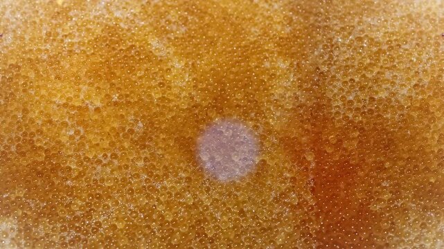 Seamless 4K looping vertical movement across golden pike caviar with rich organic texture and glossy fish roe. Perfect for seafood backgrounds culinary projects and food related motion graphics.