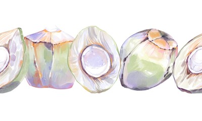 Watercolor seamless border featuring whole and opened green coconuts filled with fresh coconut water. Tropical coastal illustration for cafe, resorts, summer decor, and packaging © Tatiana