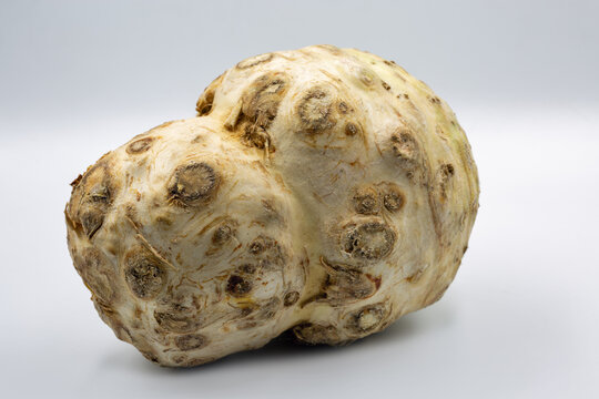 Fresh celery root vegetable closeup on white.
