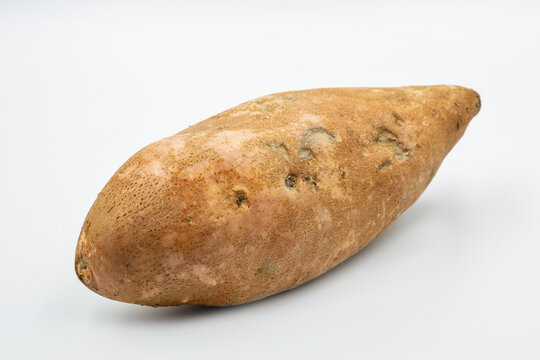Raw sweet potato tuber on a white background, closeup.