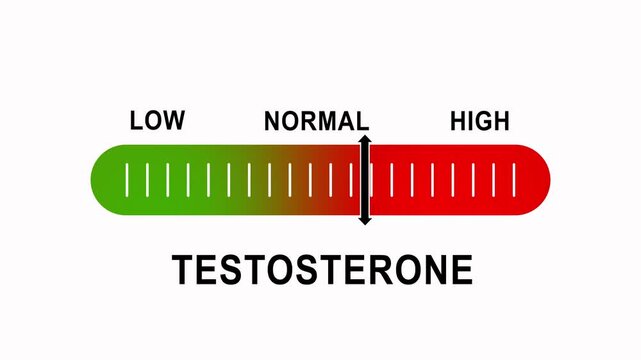 Testosterone level gauge indicator moving from low to medical hormone analysis infographic animation