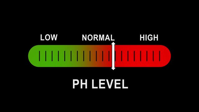 P h level indicator gauge animation: measuring acidic to alkaline balance and chemical testing meter