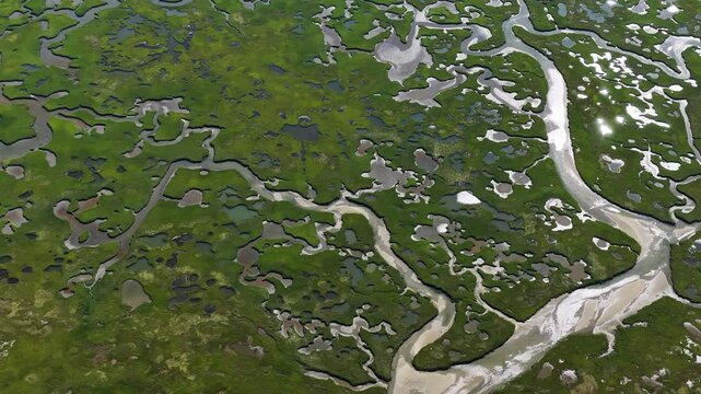 A myriad of channels meander through an extensive, sunlit salt marsh on the coast of Cape Cod, MA. Marshes provide critical habitat for many birds, fish, and invertebrates to feed, mate, and nest.