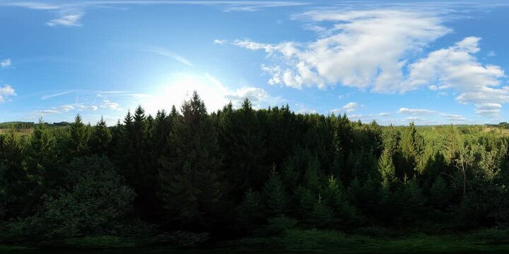 360 aerial flight gliding smoothly over evergreen spruce treetops, birds eye view.