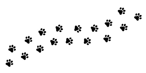 Obraz premium Dog Footprint Trail, Black Paw Prints Isolated on Transparent Background