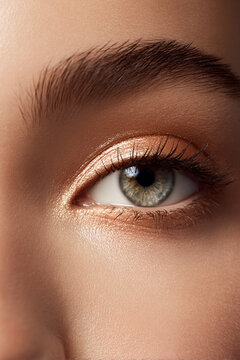 Close up of woman's eye with natural makeup, showing delicate iridescent eyeshadow, long eyelashes, and well groomed eyebrow