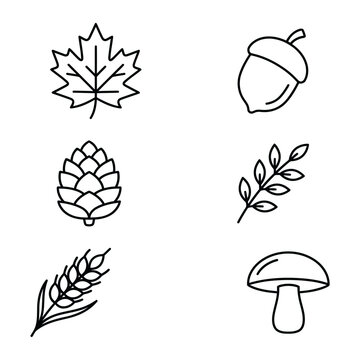 Hand-drawn autumn botanical line art icons set with leaves, acorns, and mushrooms for seasonal design projects