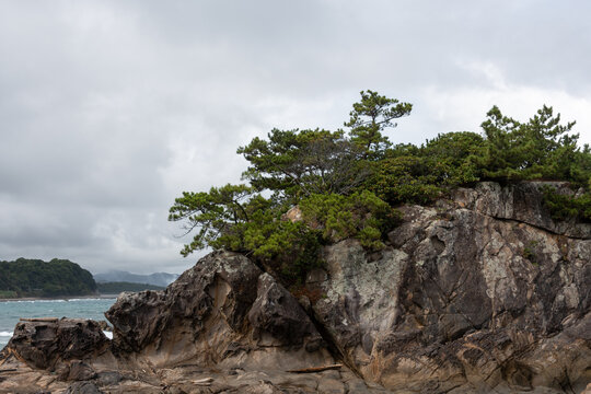 Scenic coastal landscape of Suzushima Island with rugged rocky shore and pine trees under cloudy sky in Shingu Wakayama Japan