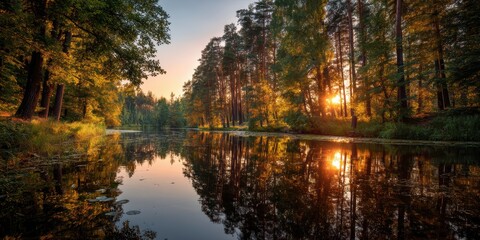 Naklejka premium Serene sunrise reflections illuminate a tranquil lake, as sunlight filters through a trees branches over the water in a peaceful autumn morning
