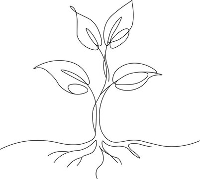 Minimalist one line drawing of a growing plant sprout with roots.