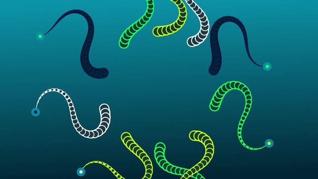Abstract background featuring multiple colorful glowing snake like shapes moving gracefully on a deep teal gradient