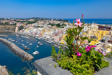 Piękny kwiat na tle panoramy Marina di Corricella na wyspie Procida, Włochy. © Grzegorz
