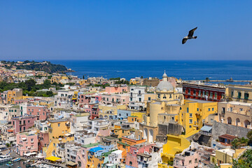 Mewa w locie nad kościołem Santa Maria delle Grazie na wyspie Procida, Włochy. © Grzegorz