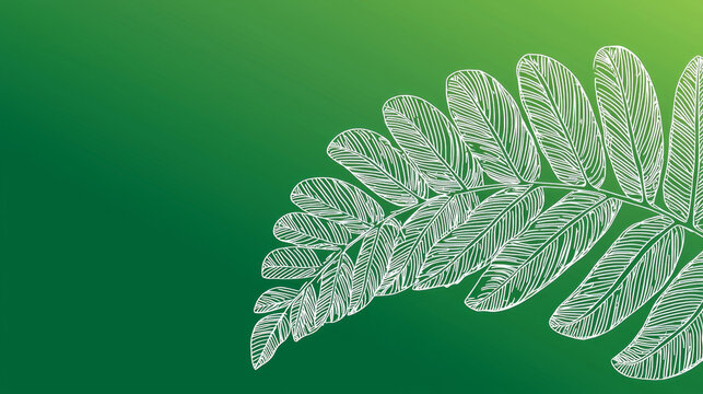 Vibrant green gradient background features a detailed white outline drawing of a large fern frond, diagonally positioned on the right