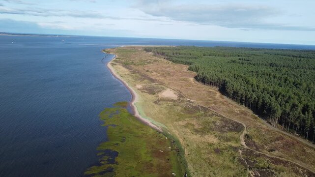 Aerial View of Forest Edge and Natural Woodland Regeneration in Scotland