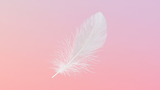 A delicate white feather rests on a soft gradient background blending light pink and purple hues, emphasizing its intricate texture