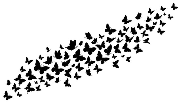 black silhouettes of butterflies