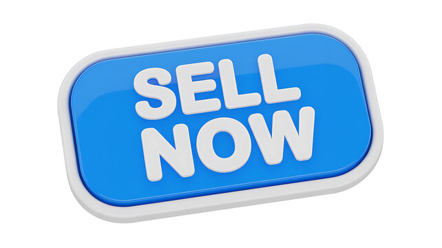 3D rendered blue oval button with white text SELNOW angled on a white background 