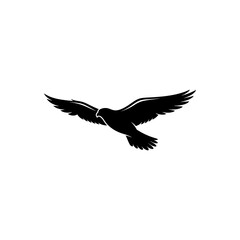 Fototapeta premium Black silhouette of a falcon in flight with wings spread wide, isolated on a white background, of a predatory bird in motion