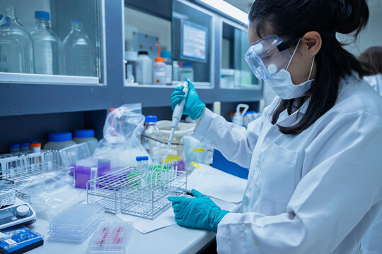 Female researcher uses a pipette to handle toxic chemical samples in a laboratory. Concept of toxicology, chemical safety, sample analysis, scientific research, and laboratory testing.