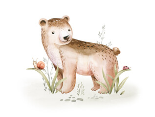 Watercolor cute baby bear and woodland nursery isolated elements illustration for children with stump and acorn forest drawing with floral elements.  © kris_art
