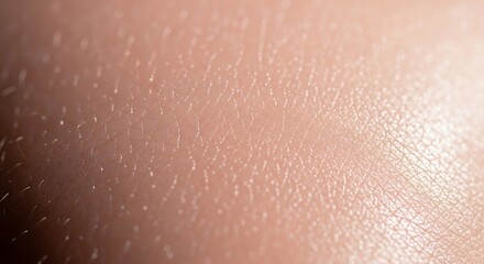 Fototapeta premium Extreme macro view of human skin texture showing fine pores and soft peach fuzz hair