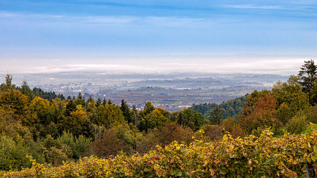 Nebellandschaft