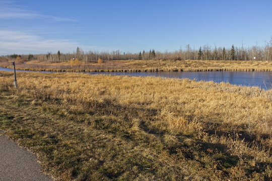 Pylypow Wetlands on a Dry Autumn Day
