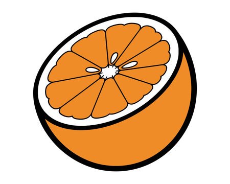 Sliced orange fruit illustration with clean lines and vibrant color