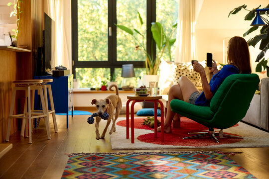 Woman enjoys her free time relaxing at home with her dog