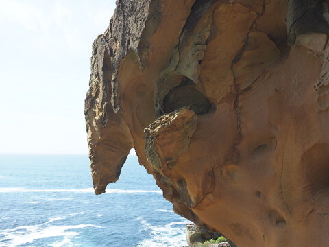 roca