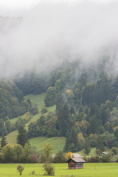 Autumn Fog in the Allgaeu Alps