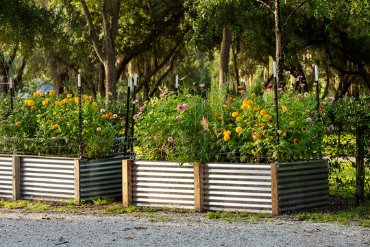 Raised bed garden with flowers