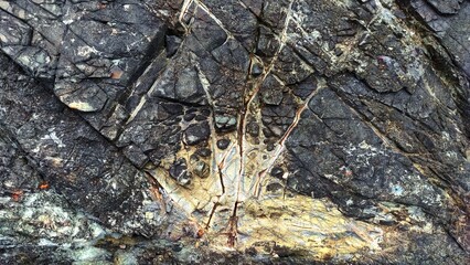 Macro close-up of a rugged rock surface showing natural mineral veins, iron oxide stains, and cracked geological patterns in dark gray and golden tones © Mumaza
