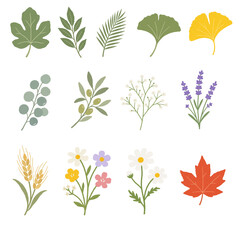 Naklejka premium Set of cute botanical elements with various leaves, wild flowers, and branches vector illustrations