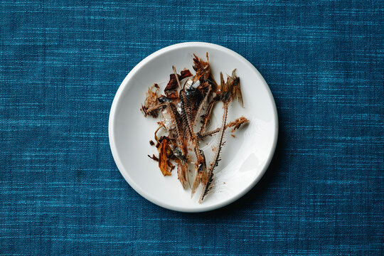 white plate with cooked sardine bones and negative space