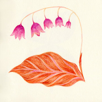 abstract flower